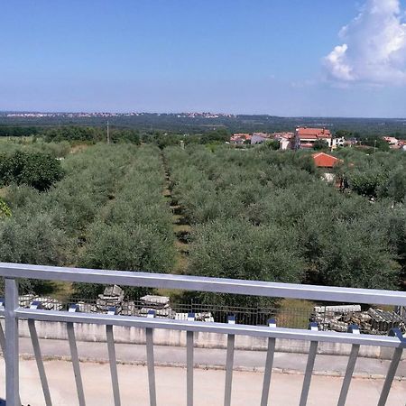 Apartment Coskovic Rosini Buitenkant foto